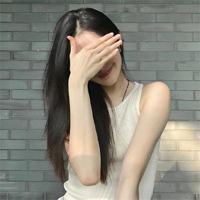 鸽之翼